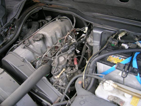 DSCN8085.JPG